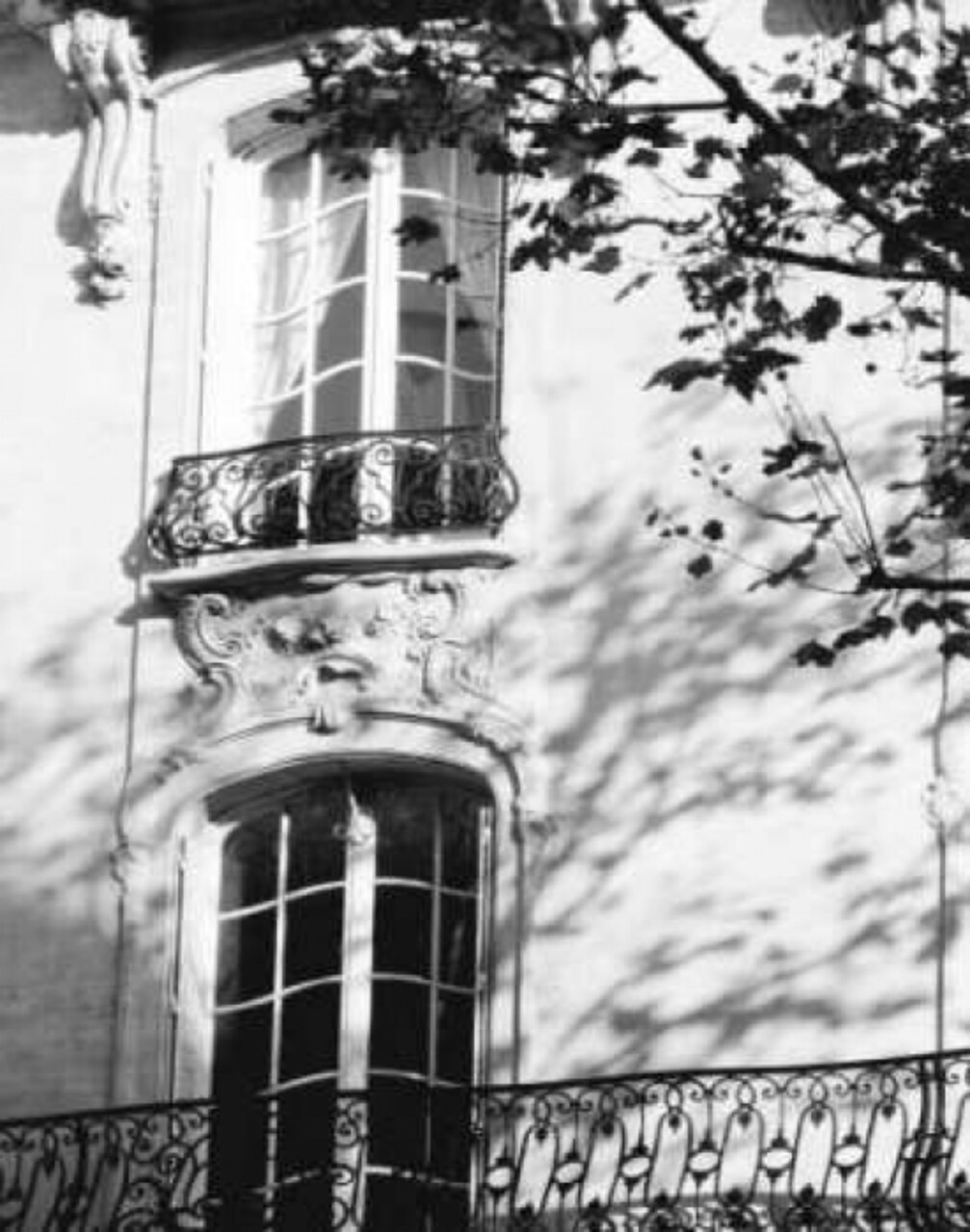 Autumn Shadows I Poster Print by J. Gomis - Item # VARPDXGJP100